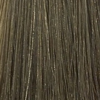 Стойкая профессиональная краска для волос - Goldwell Topchic Hair Color Coloration 8A (Светло-русый пепельный)
